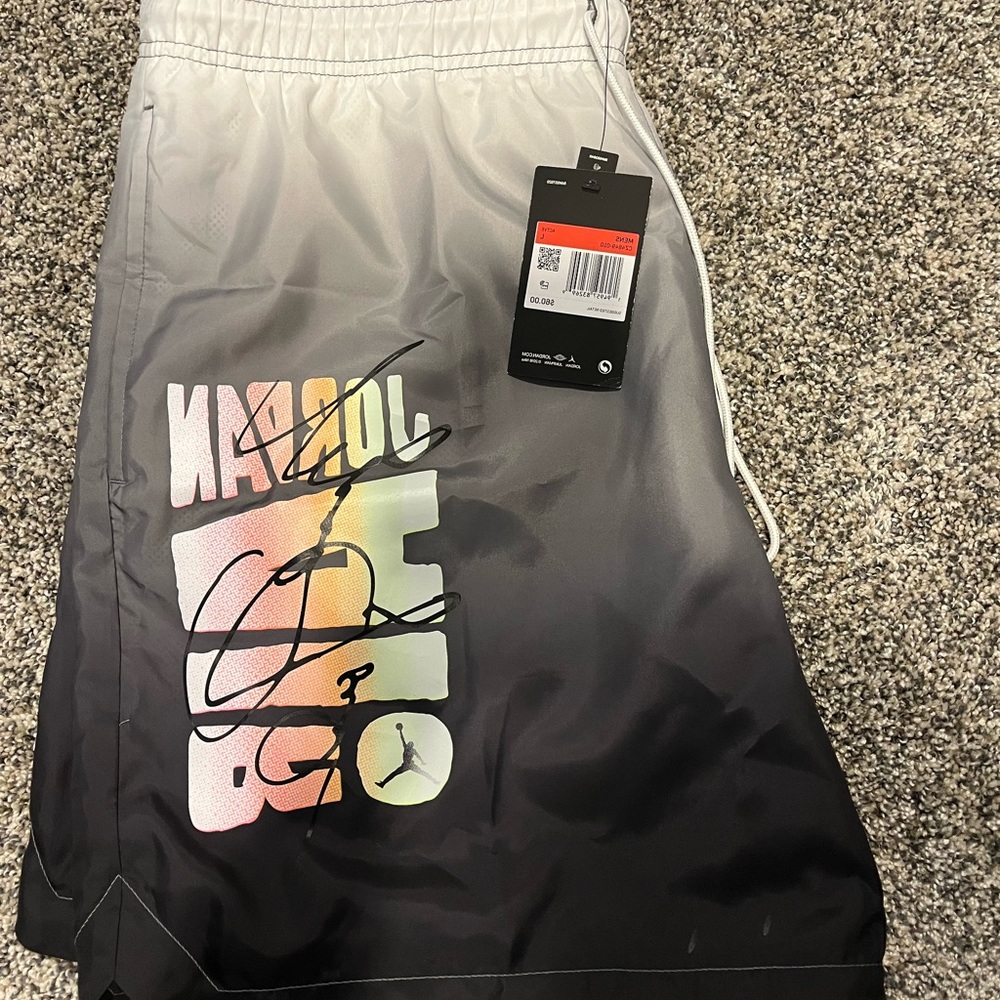 Mens jordan swim trunks